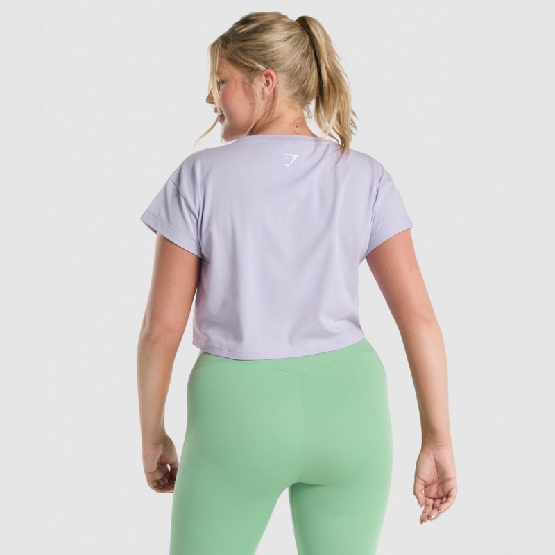 μπλουζακια Gymshark Fraction Crop ανοιχτο μωβ | 467STJGBC