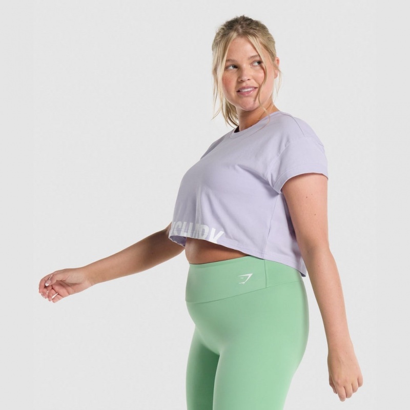 μπλουζακια Gymshark Fraction Crop ανοιχτο μωβ | 467STJGBC
