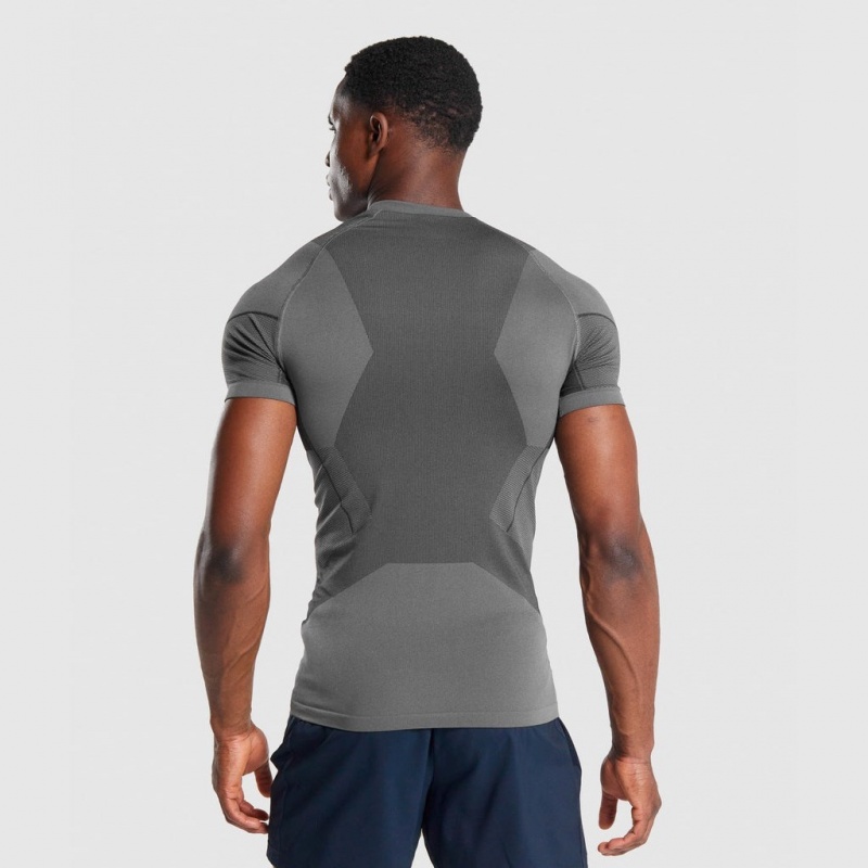 μπλουζακια Gymshark Free Force Seamless γκρι | 698XYQLDF