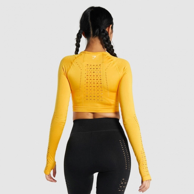 μπλουζακια Gymshark Glow Long Sleeve Seamless Crop κίτρινα | 571OSFWYU