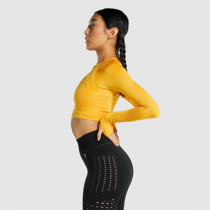 μπλουζακια Gymshark Glow Long Sleeve Seamless Crop κίτρινα | 571OSFWYU