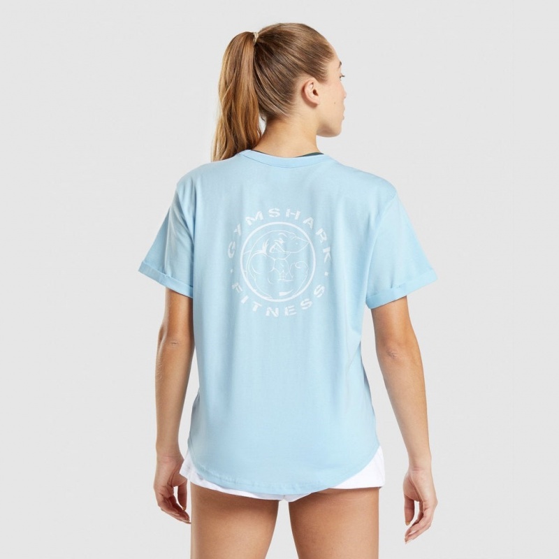 μπλουζακια Gymshark Legacy σταμπεσ Tee μπλε | 362JNTSOE