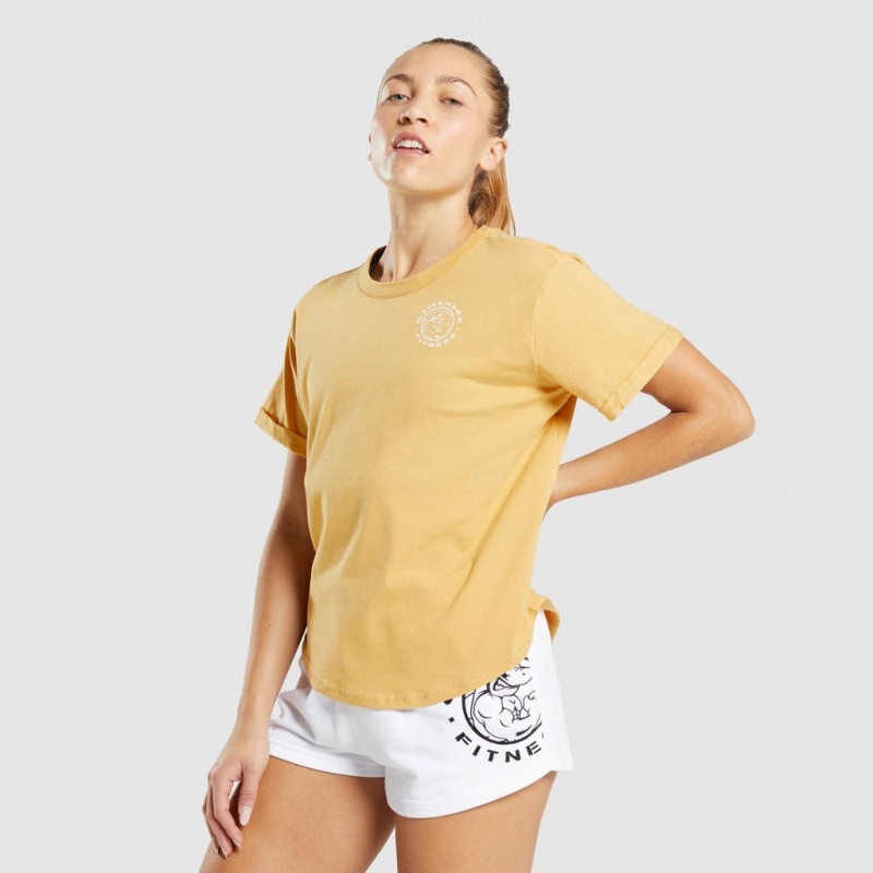 μπλουζακια Gymshark Legacy σταμπεσ Tee κίτρινα | 768MVLHQU