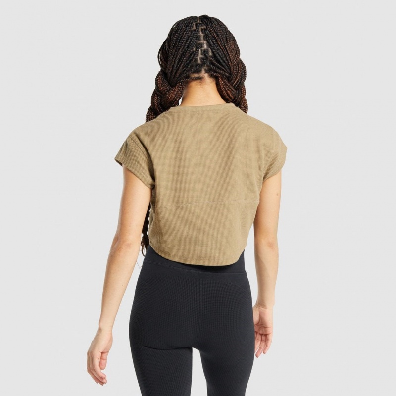 μπλουζακια Gymshark Pause Crop ανοιχτο καφε | 207MKBYIN