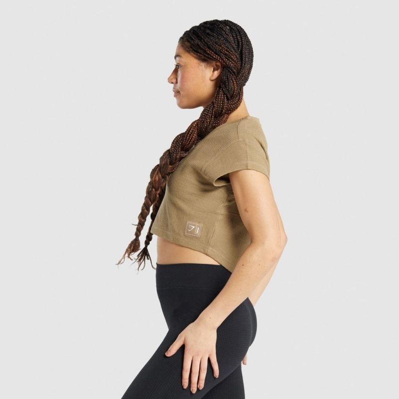 μπλουζακια Gymshark Pause Crop ανοιχτο καφε | 207MKBYIN