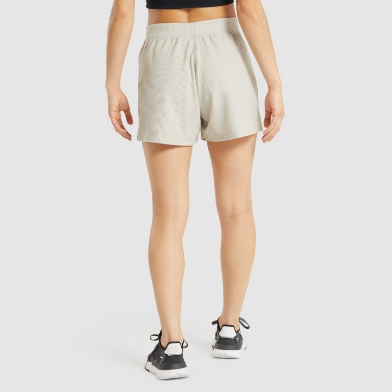 Σορτσ Gymshark Pause Loose γκρι | 983MAUION