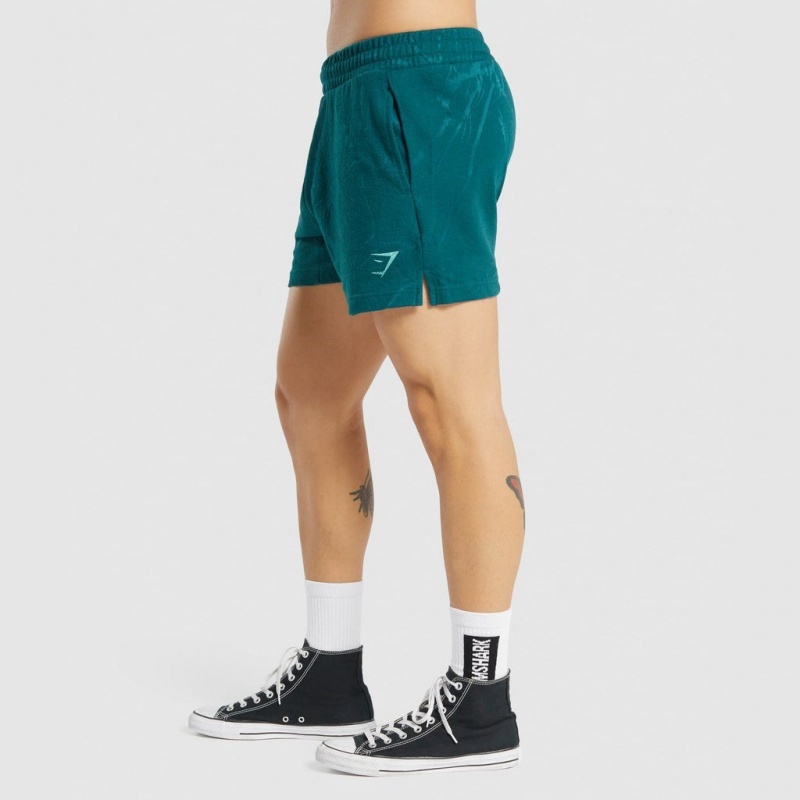 Σορτσ Gymshark Power 5 Teal Print | 267VHMROU