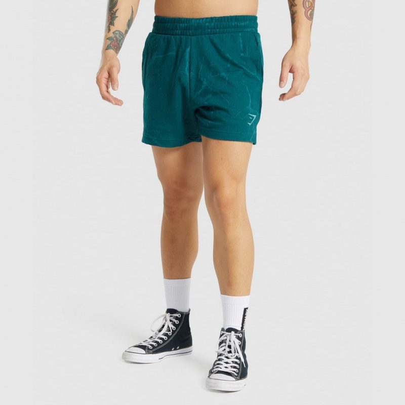 Σορτσ Gymshark Power 5 Teal Print | 267VHMROU