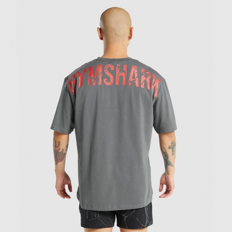 μπλουζακια Gymshark Power γκρι | 750FJBQEV