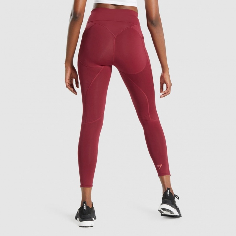 Κολαν Gymshark Pulse μπορντο | 843LMYDPC