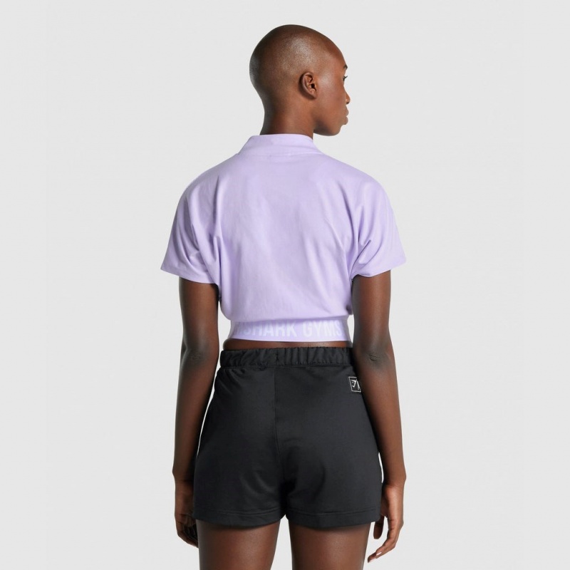 μπλουζακια Gymshark Recess Crop 1/2 Zip Tee Crop ανοιχτο μωβ | 461PVKHDY