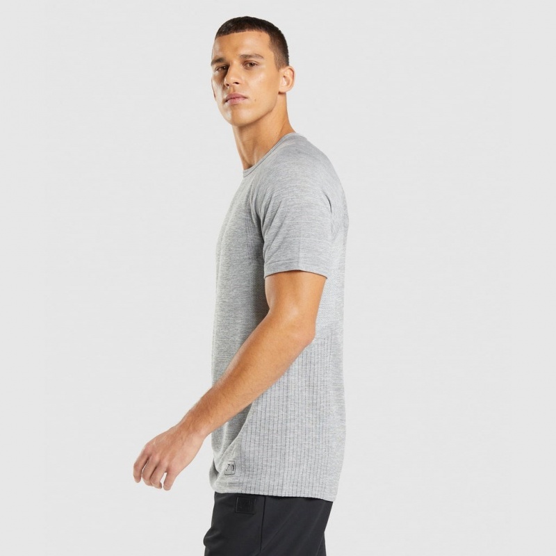 μπλουζακια Gymshark Retake Seamless ανοιχτο γκρι μαυρα | 076VTFKSM