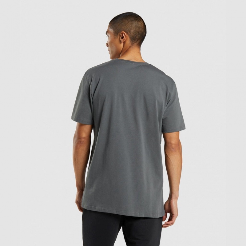 μπλουζακια Gymshark Sharkhead Infill Charcoal | 076TNKFXZ