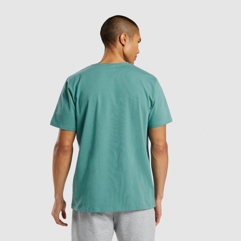 μπλουζακια Gymshark Sharkhead Infill Teal | 048TLDFHZ