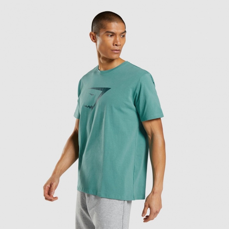μπλουζακια Gymshark Sharkhead Infill Teal | 048TLDFHZ