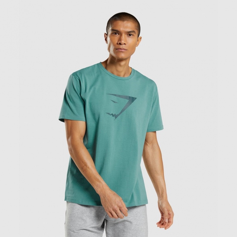 μπλουζακια Gymshark Sharkhead Infill Teal | 048TLDFHZ