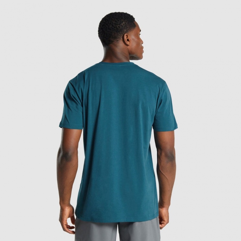 μπλουζακια Gymshark Sharkhead Infill Teal | 457HIZXAM
