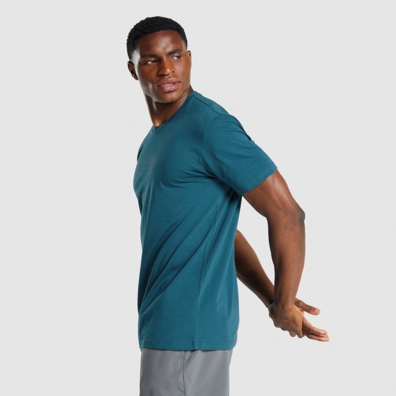 μπλουζακια Gymshark Sharkhead Infill Teal | 457HIZXAM