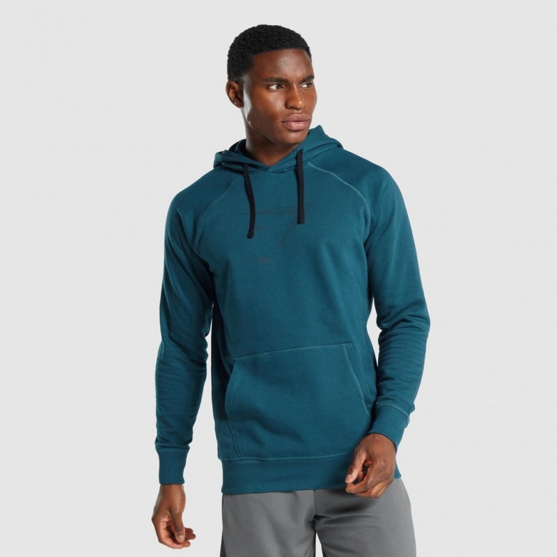 Φουτερ Gymshark Sharkhead Infill Teal | 617ZPYEWA