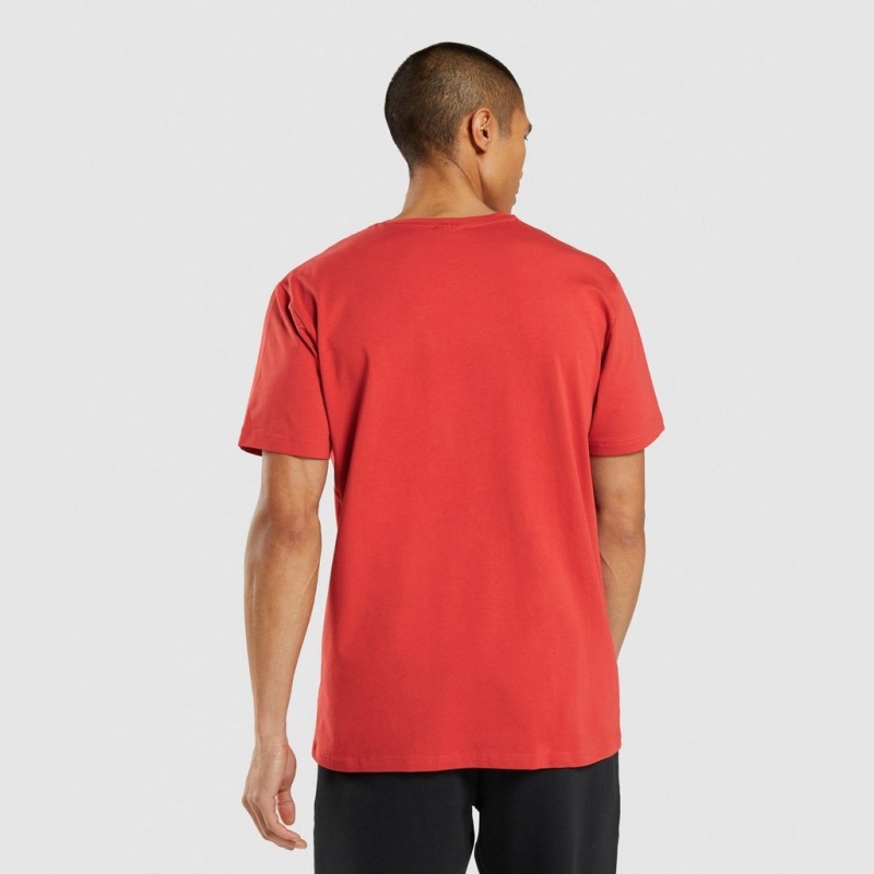μπλουζακια Gymshark Sharkhead Infill κοκκινα | 259BPXSED