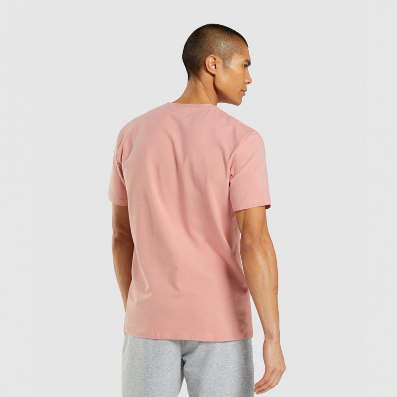 μπλουζακια Gymshark Sharkhead Infill ροζ | 693FXEHVN