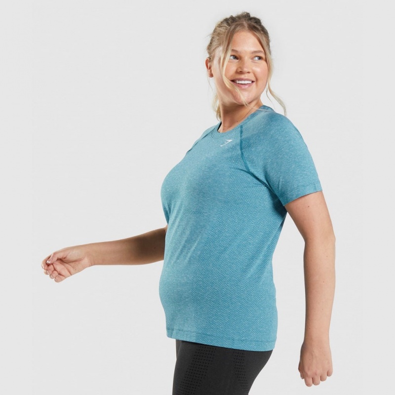 μπλουζακια Gymshark Vital Seamless 2.0 Light Tahoe Teal Marl | 935MGIHVJ
