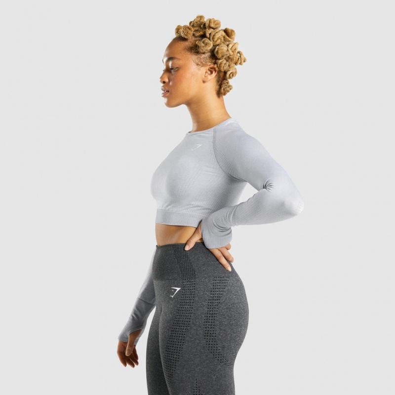 μπλουζακια Gymshark Vital Seamless 2.0 Long Sleeve Crop ανοιχτο γκρι | 657CFSEYG