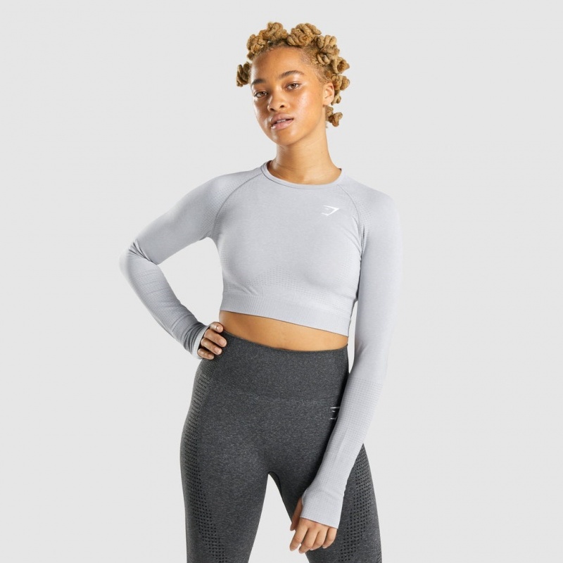 μπλουζακια Gymshark Vital Seamless 2.0 Long Sleeve Crop ανοιχτο γκρι | 657CFSEYG