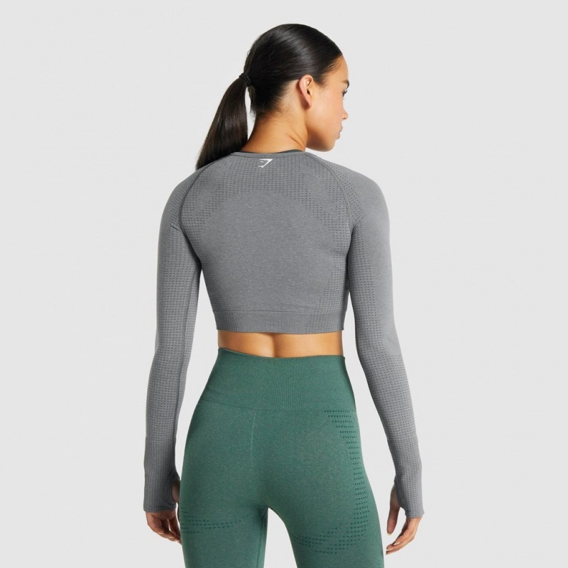 μπλουζακια Gymshark Vital Seamless 2.0 Long Sleeve Crop γκρι | 908DAIXJB