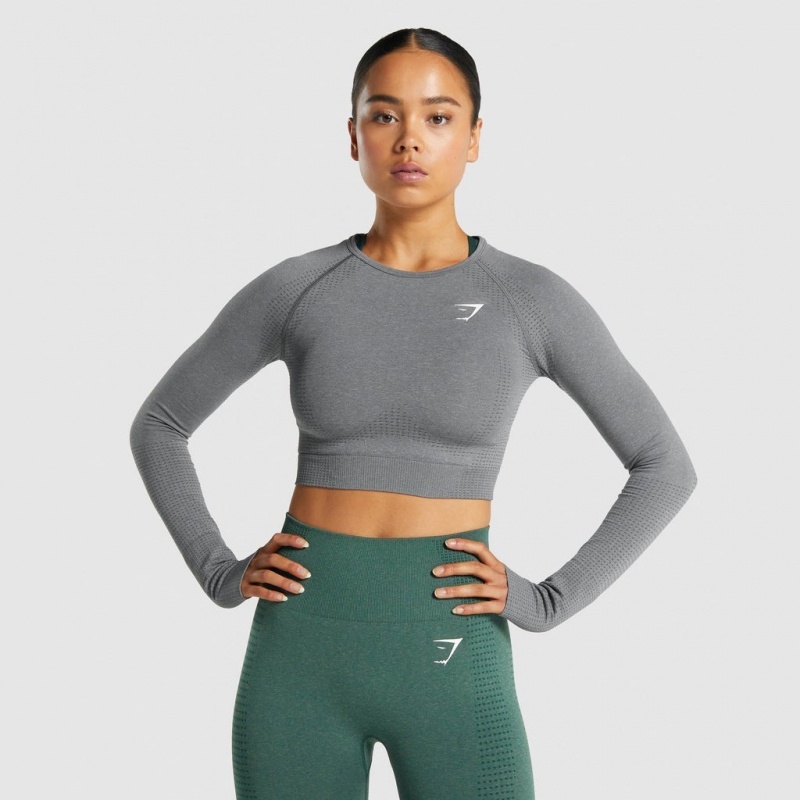 μπλουζακια Gymshark Vital Seamless 2.0 Long Sleeve Crop γκρι | 908DAIXJB