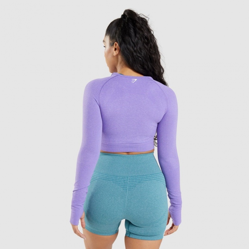 μπλουζακια Gymshark Vital Seamless 2.0 Long Sleeve Crop μωβ | 251NHGSKB