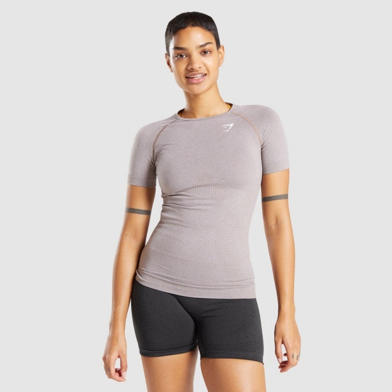 μπλουζακια Gymshark Vital Seamless 2.0 Taupe Marl | 649ENJOTL