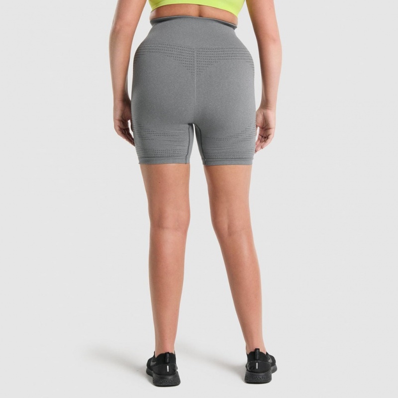 Σορτσ Gymshark Vital Seamless 2.0 γκρι | 741QXSHED