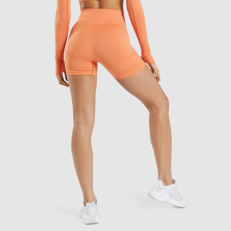 Σορτσ Gymshark Vital Seamless 2.0 βερίκοκο πορτοκαλι | 023OXFVDZ