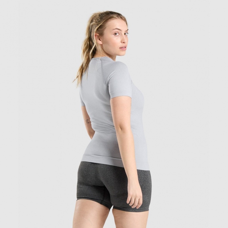 μπλουζακια Gymshark Vital Seamless 2.0 ανοιχτο γκρι | 207JPCVEU