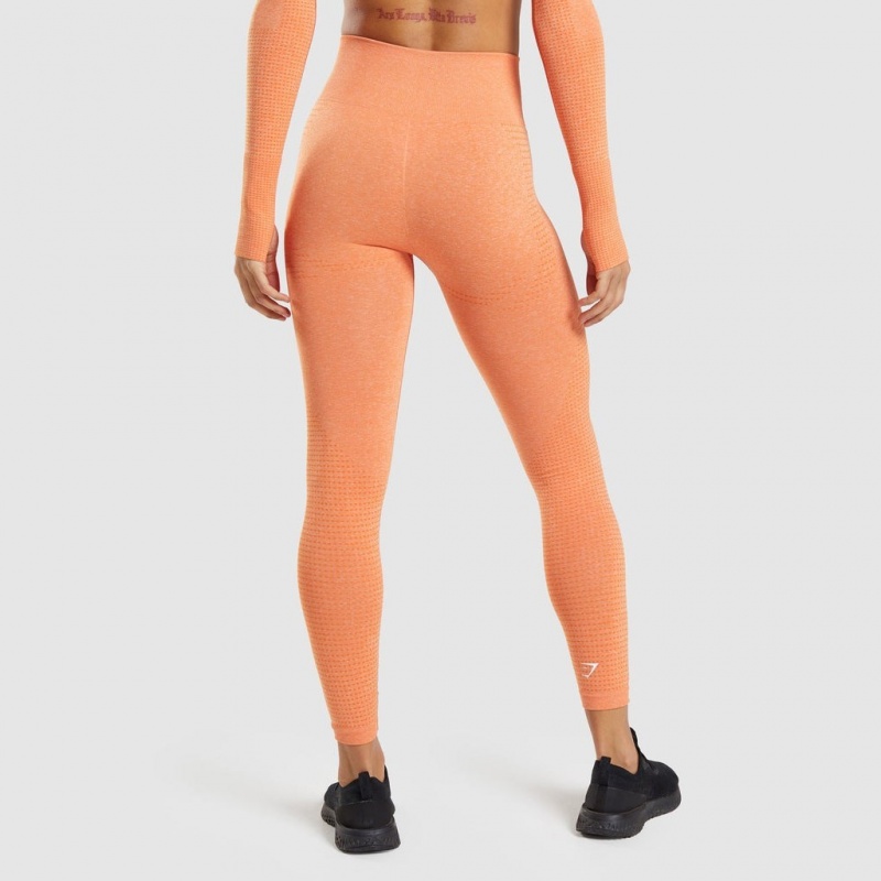 Κολαν Gymshark Vital Seamless 2.0 βερίκοκο πορτοκαλι | 721KZRGTE