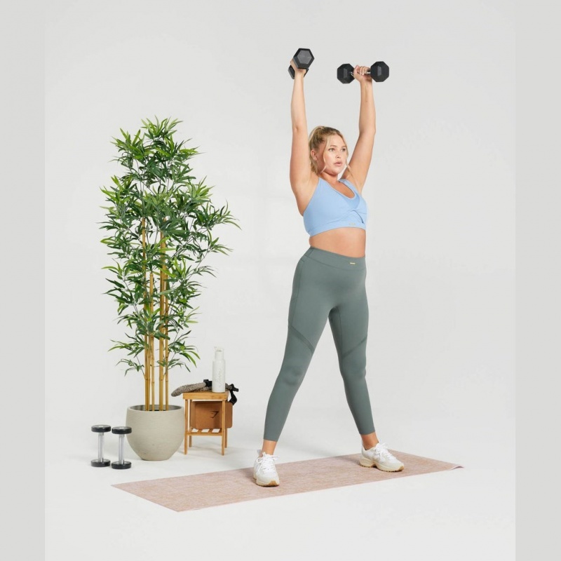 Κολαν Gymshark Whitney Mesh Eucalyptus | 348EULATH