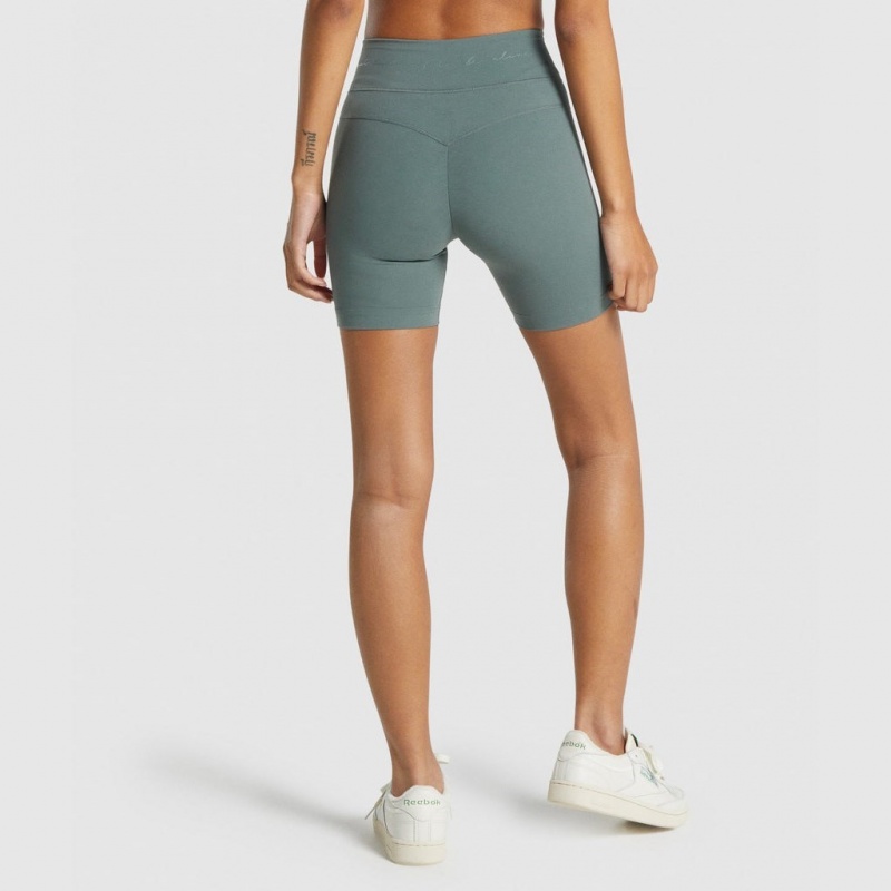 Σορτσ Gymshark Whitney Mesh Eucalyptus | 451UZEHGJ