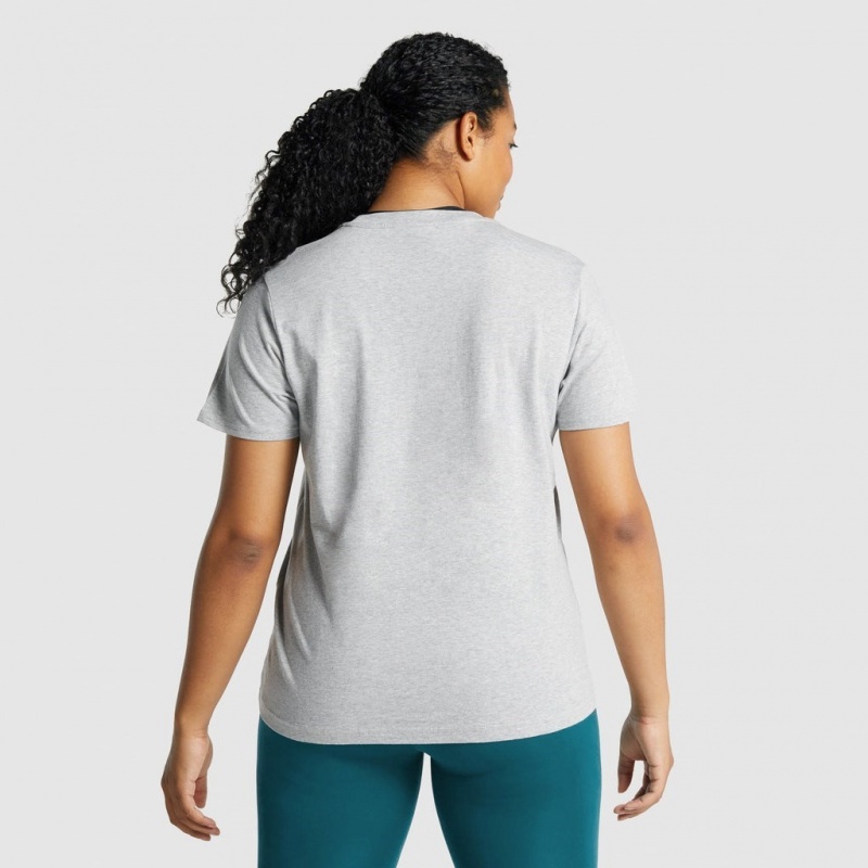 μπλουζακια Gymshark Αθλητικά Basic Tee ανοιχτο γκρι | 201BRWCGQ