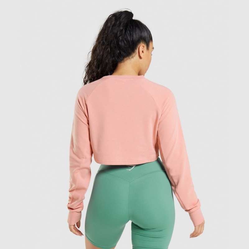 Πουλόβερ Gymshark Αθλητικά Cropped ροζ | 796FERWIU