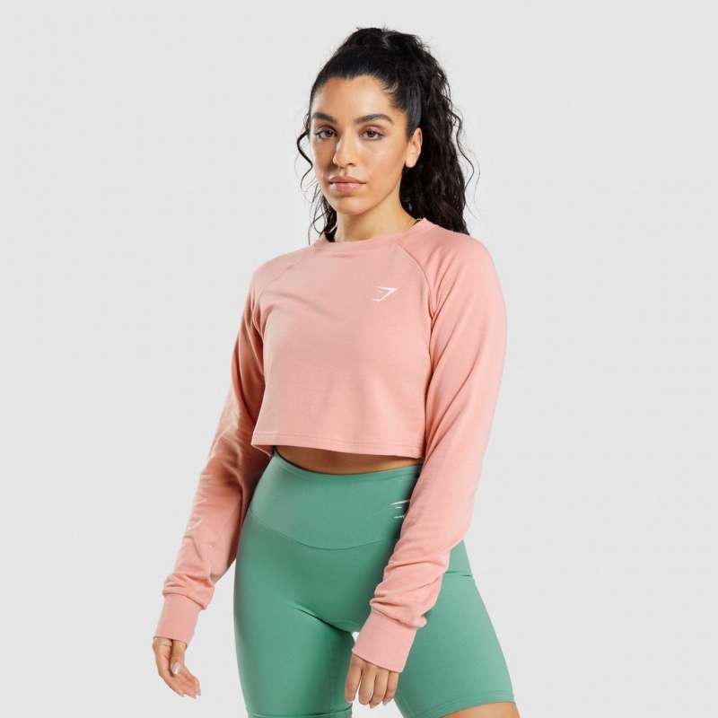 Πουλόβερ Gymshark Αθλητικά Cropped ροζ | 796FERWIU