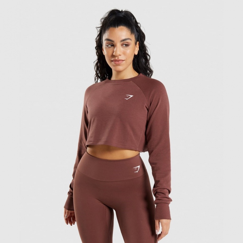 Πουλόβερ Gymshark Αθλητικά Cropped καφε | 815ZQNFRO