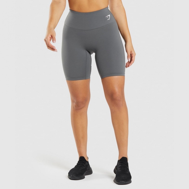 Σορτσ Gymshark Αθλητικά Cycling γκρι | 069JTOIVK