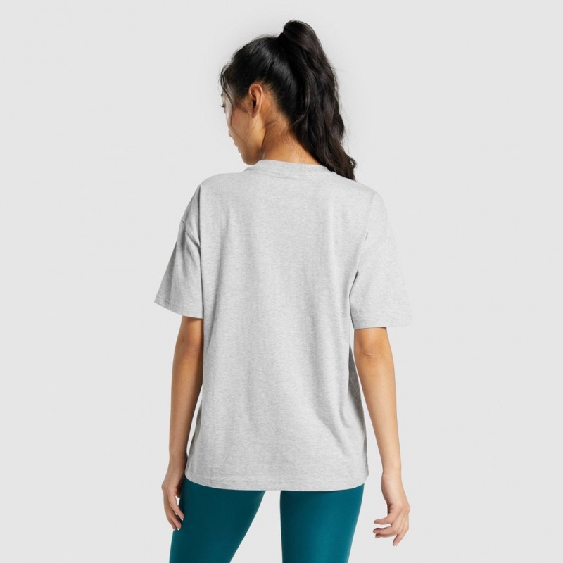 μπλουζακια Gymshark Αθλητικά Oversized ανοιχτο γκρι | 295XNWKTU