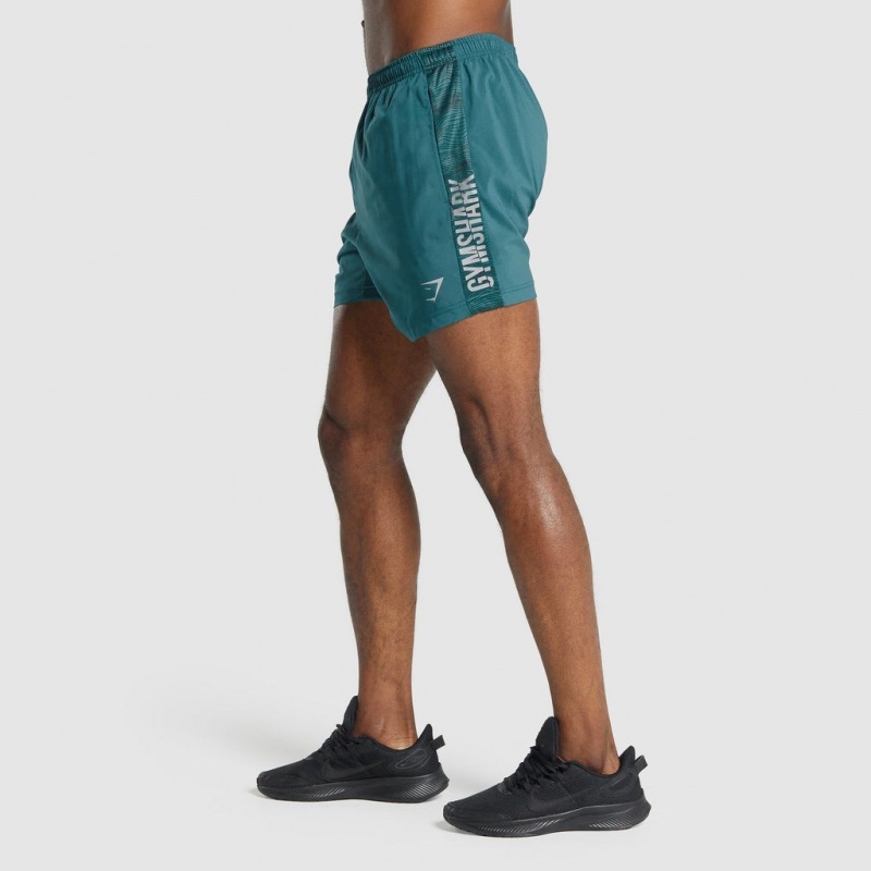 Σορτσ Gymshark σταμπεσ Αθλητικά Teal | 038EDPOSU