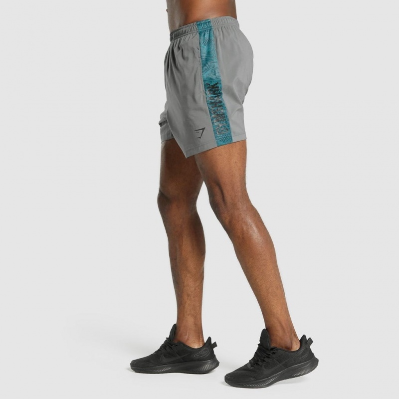 Σορτσ Gymshark σταμπεσ Αθλητικά γκρι | 970XGIWVN