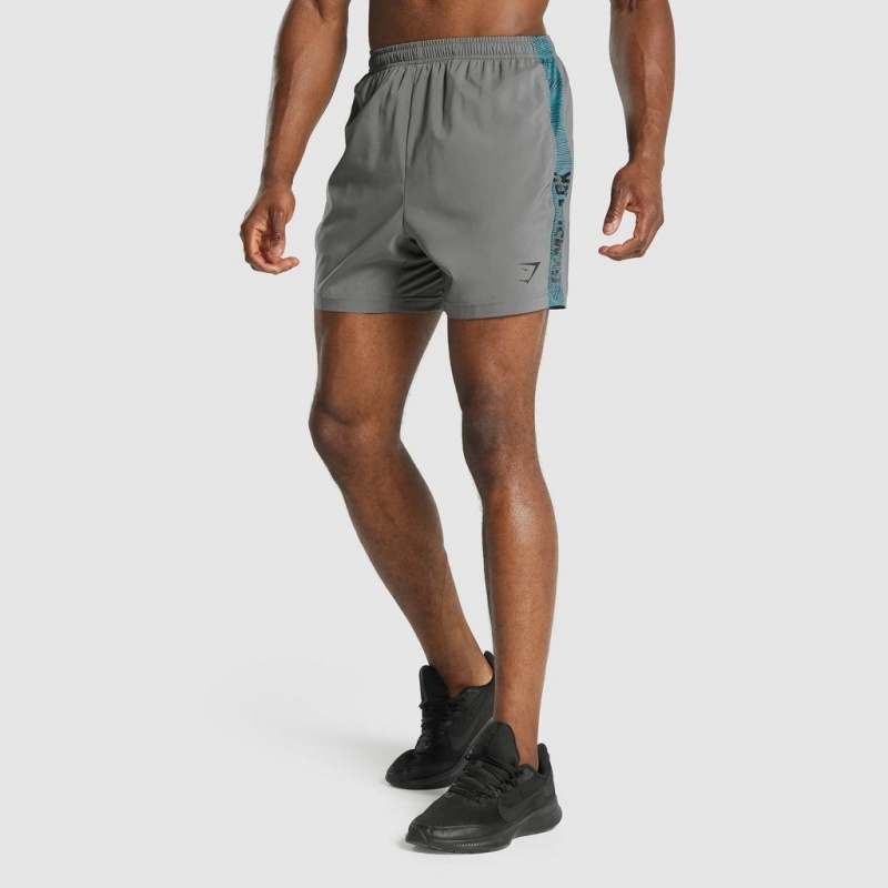 Σορτσ Gymshark σταμπεσ Αθλητικά γκρι | 970XGIWVN