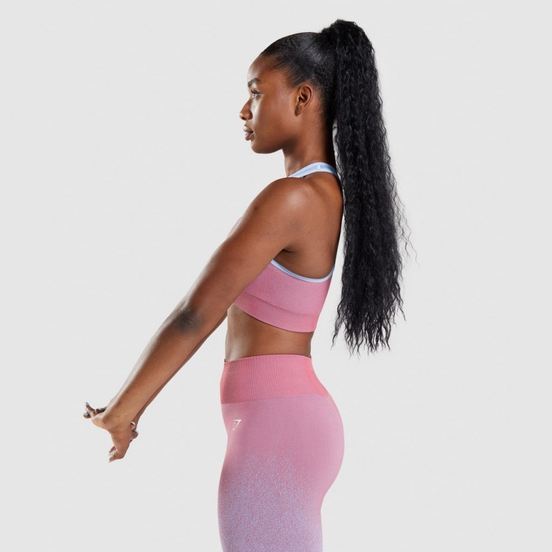 Αθλητικο Σουτιεν Gymshark Adapt Ombre Seamless ροζ ροζ ανοιχτο μπλε | 017HZRMEC