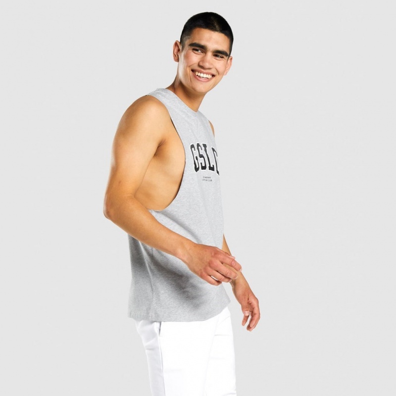 αμανικα μπλουζακια Gymshark GSLC Collegiate Drop Arm ανοιχτο γκρι | 536HLINTB