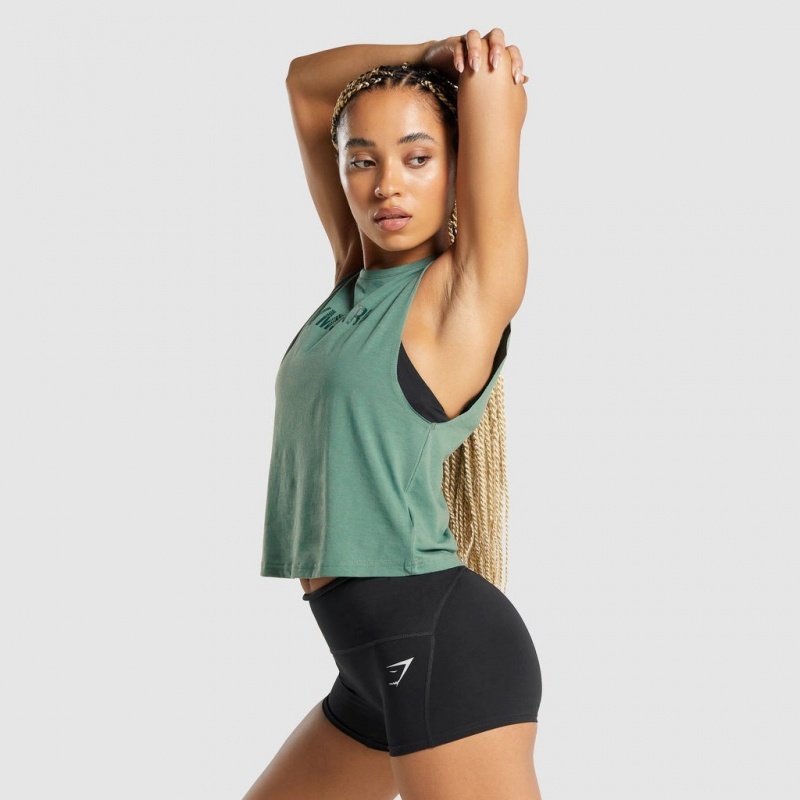 αμανικα μπλουζακια Gymshark GS Power πρασινο | 803PSHRZQ